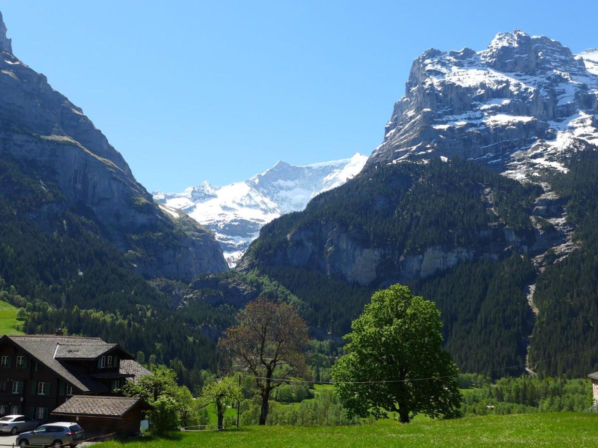 Apartment Chalet Almisgaessli By Interhome Grindelwald Exterior foto