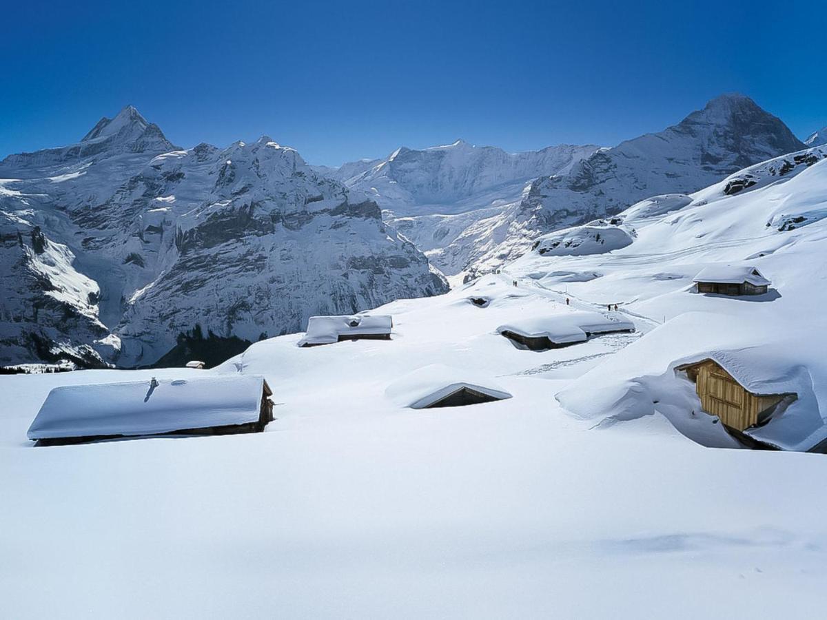 Apartment Chalet Almisgaessli By Interhome Grindelwald Exterior foto